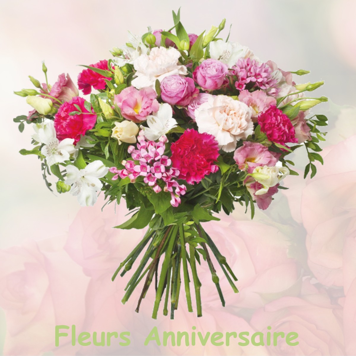 fleurs anniversaire NANCE