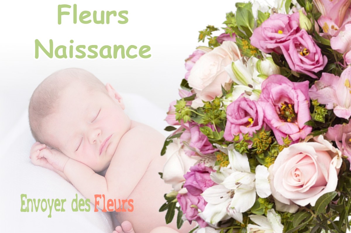 lIVRAISON FLEURS NAISSANCE à NANCE